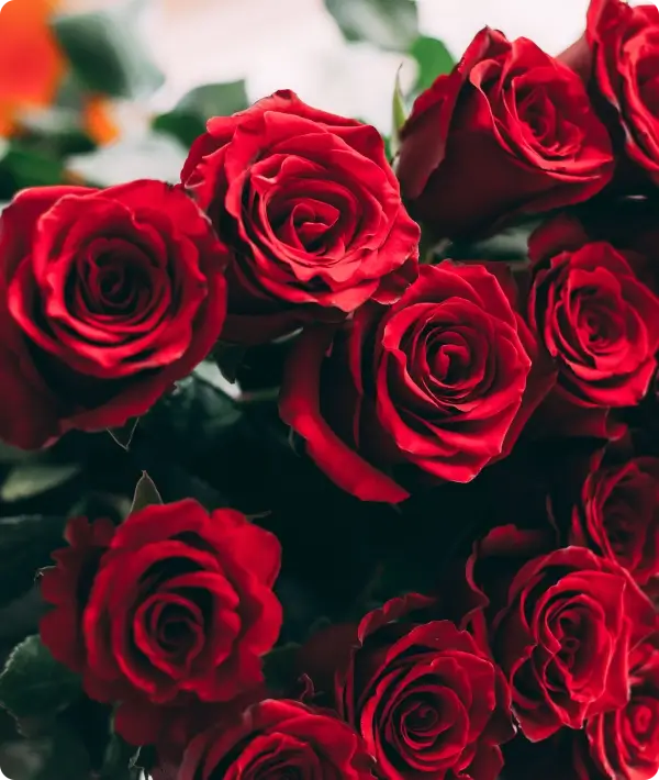Valentine's Day