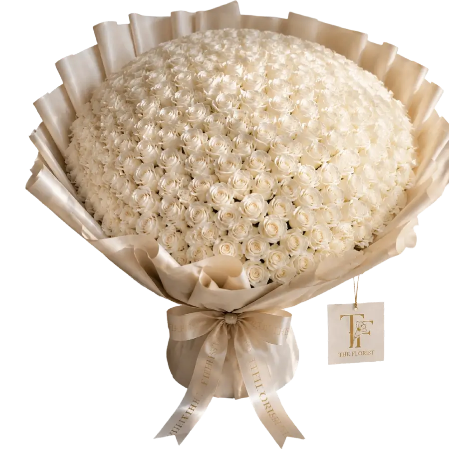 Red Rose White Wrapping /50 Flowers