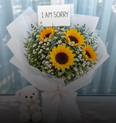 Sorry